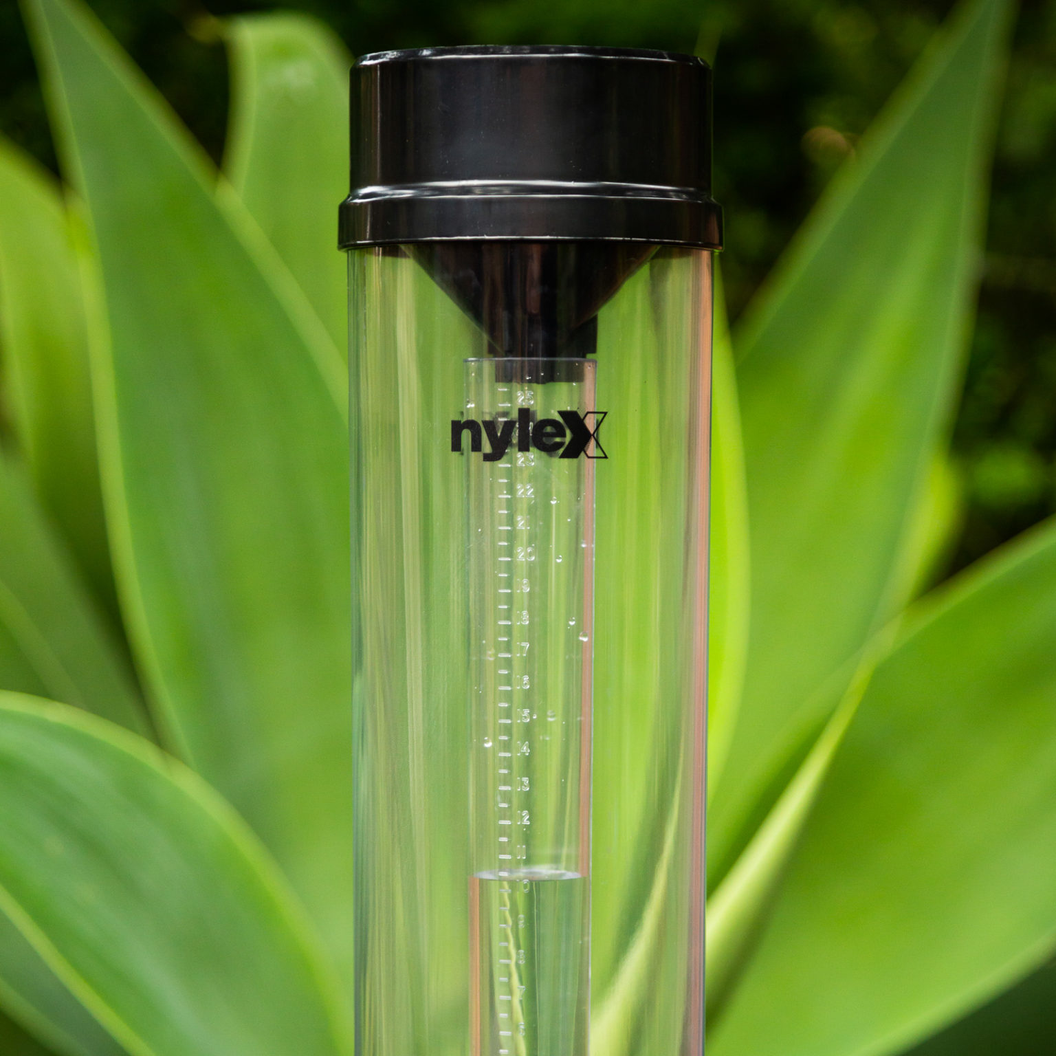 rain gauge